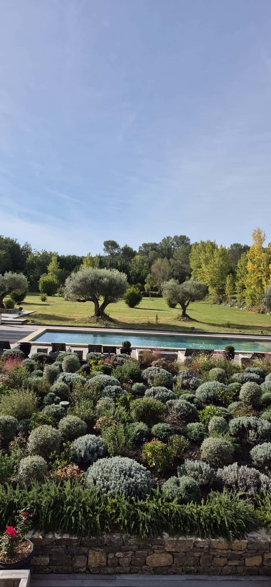 Entretien paysager complet d'un grand jardin avec piscine, oliviers et massifs de lavandes par Jardin Aixeption à Aix-en-Provence