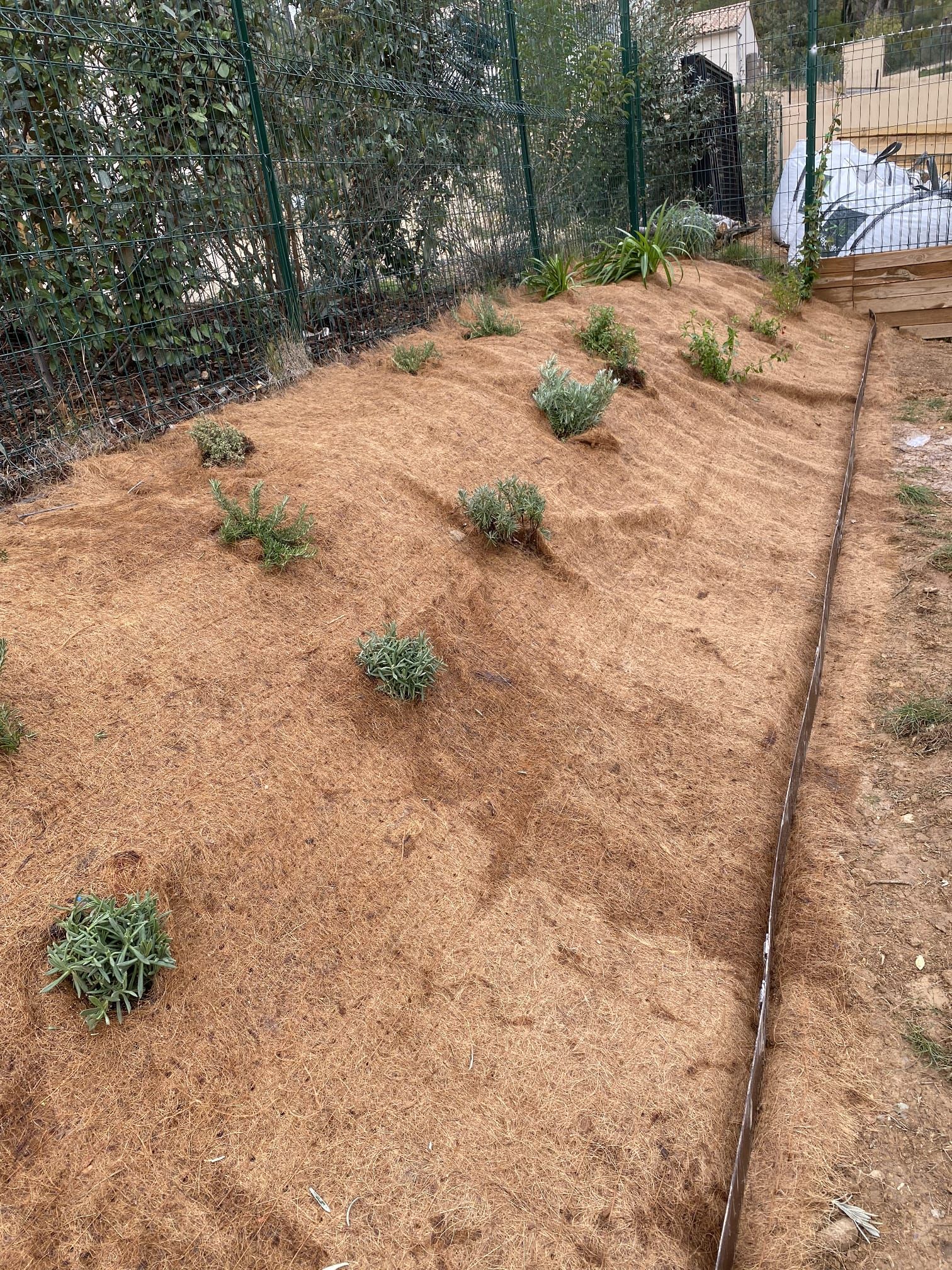 Création de massifs à Aix-en-Provence par Jardin Aixeption.