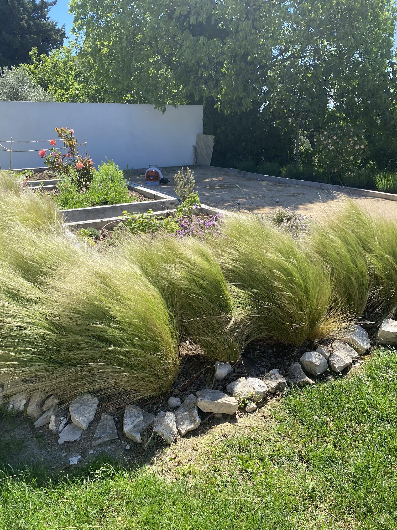 Création d'un jardin avec graminées à Aix-en-Provence.