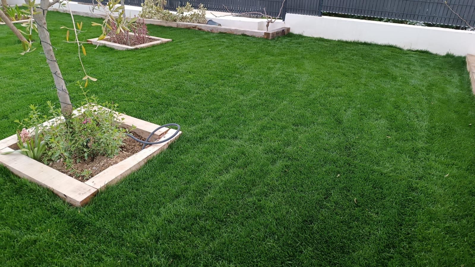 Pelouse en rouleaux à Aix-En-Provence