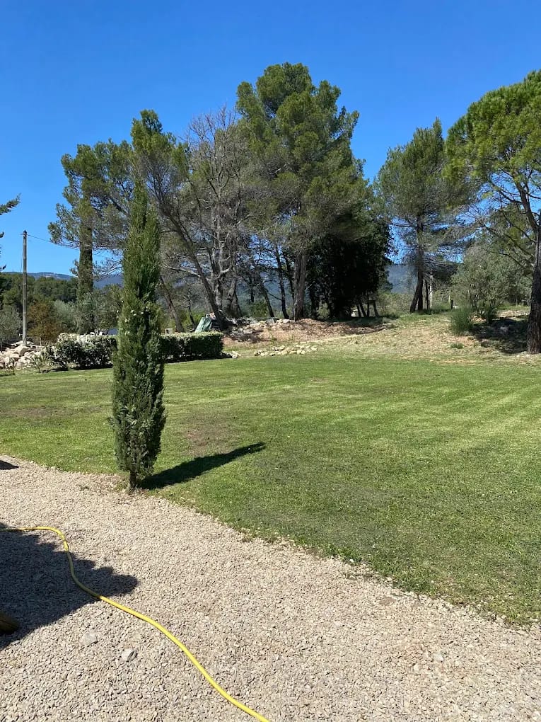 Entretien et tonte de grand domaine avec pelouse, cyprès et pins, prestation paysagère complète à Aix-en-Provence