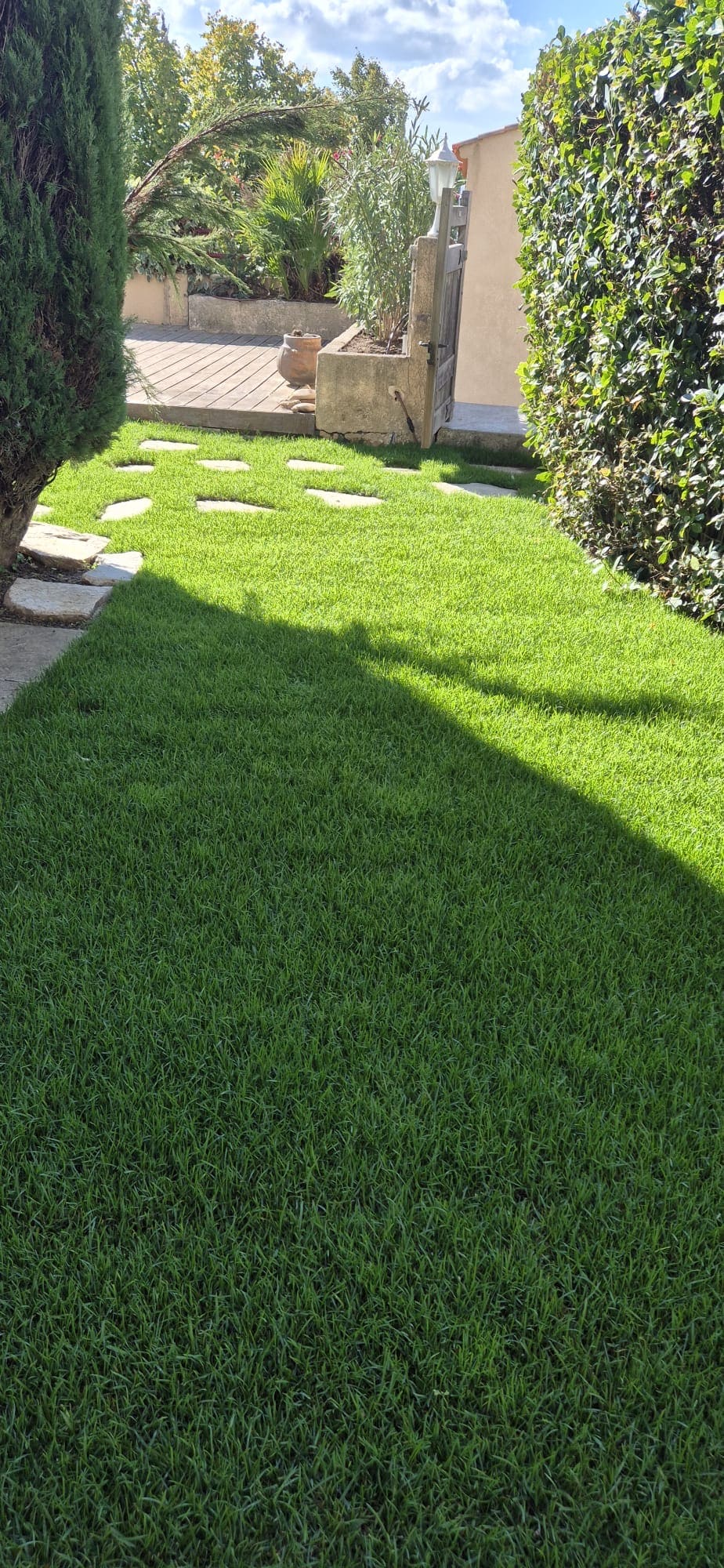 Tonte de pelouse et taille de haies avec allée de pas japonais, prestation d'entretien Jardin Aixeption à Aix-en-Provence