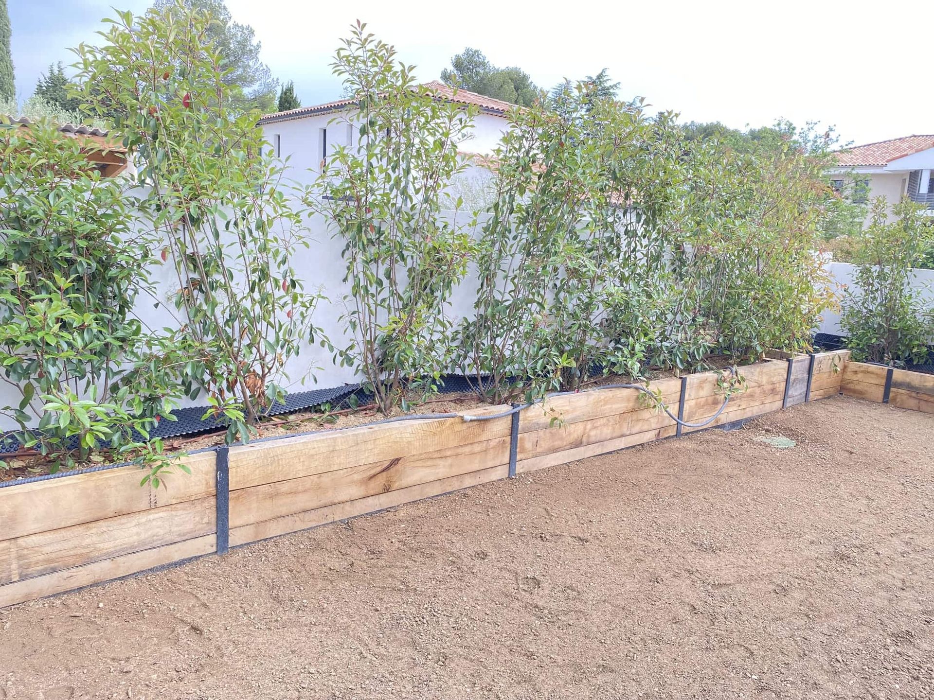 Création d'une haie végétale en bacs en bois avec arbustes et système d'arrosage intégré par Jardin Aixeption à Aix-en-Provence