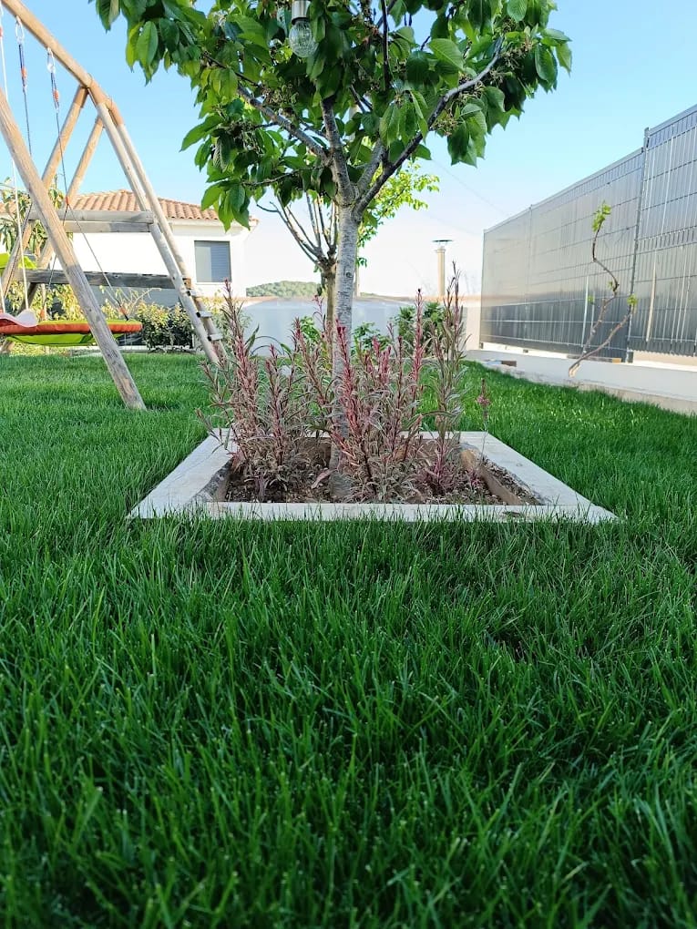 Aménagement de jardin familial avec pelouse, bacs en bois pour arbres et plantation de vivaces par Jardin Aixeption à Aix-en-Provence